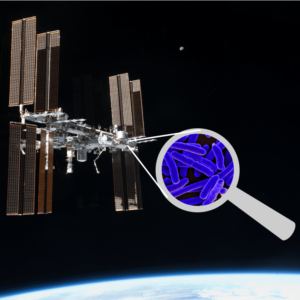 Experiencia miniPCR: Laboratorio de cazadores de microbios