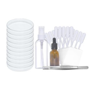 Starter Kit para Lupa Estereoscópica