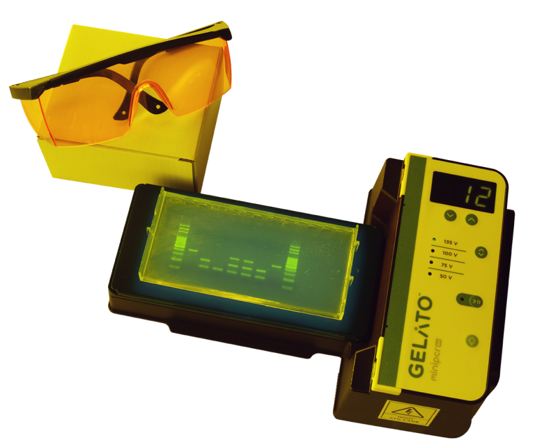 Sistema de electroforesis y visualización GELATO™ - Imagen 5