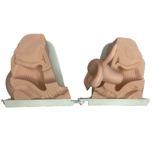 Modelo Anticonceptivo Femenino