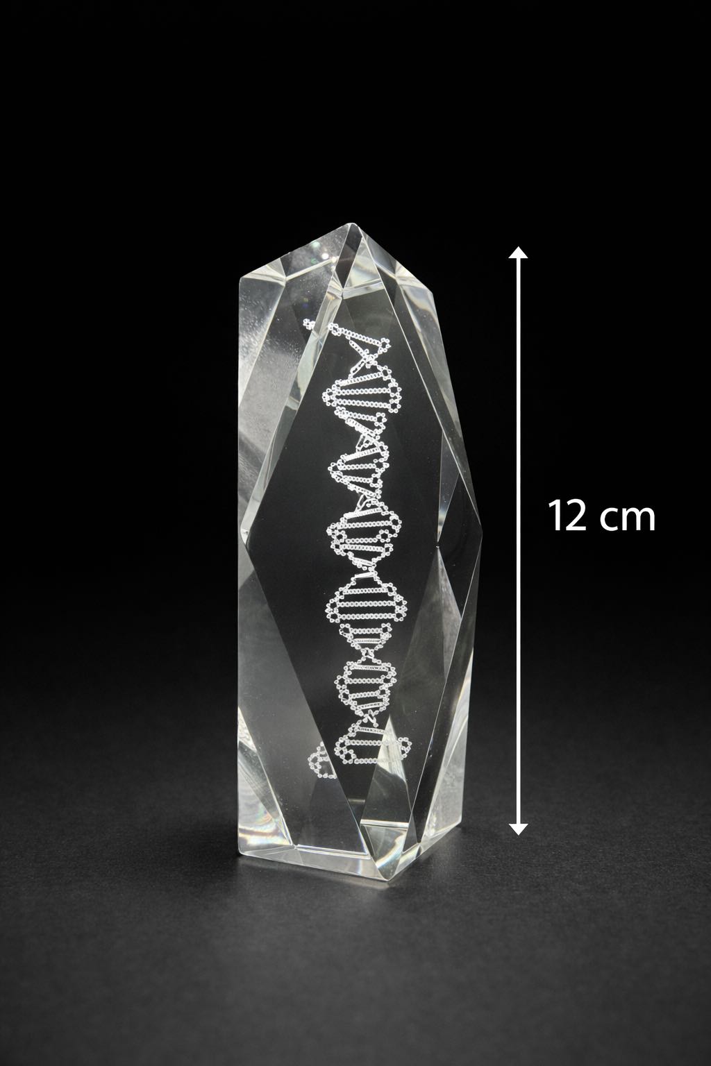 Adorno de Cristal ADN 3D - Imagen 2