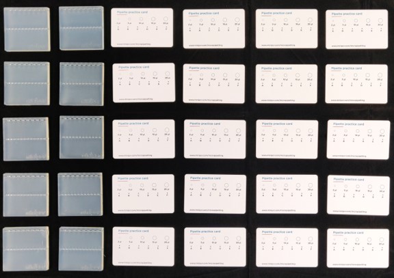 Experiencia miniPCR: Laboratorio de aprendizaje sobre pipetas - Imagen 7