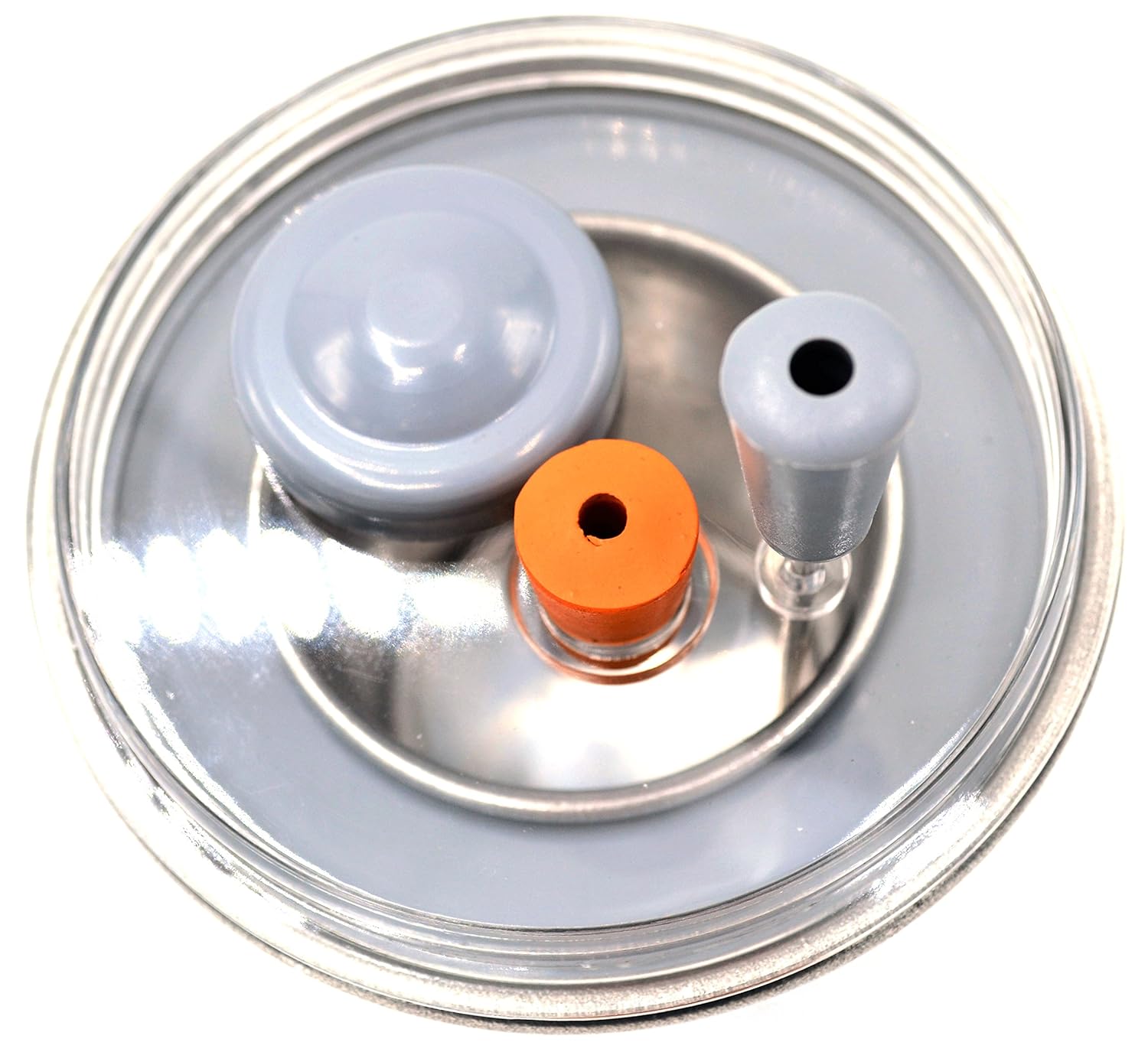 Calorímetro EISCO - Imagen 2