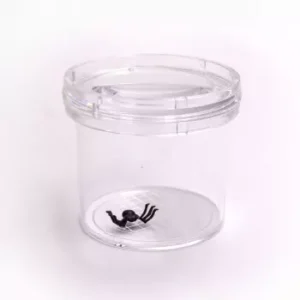 Lupa de Insecto con Recipiente