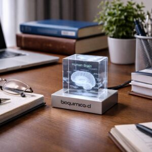 Cubo de cristal con cerebro grabado 3D - 6 cm