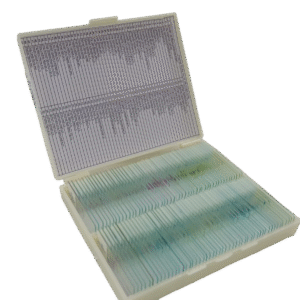 Set de Preparaciones Histologicas- 100 Prep
