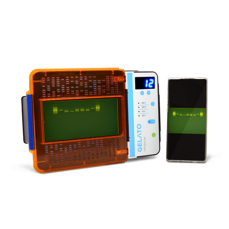 Sistema de electroforesis y visualización GELATO™